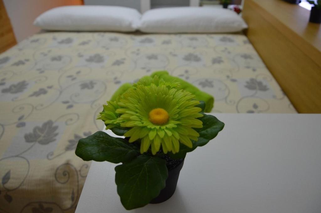 Apartament Mediterraneo Munoz